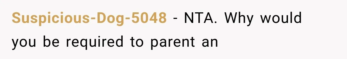 Suspicious-Dog-5048 − NTA. Why would you be required to parent an