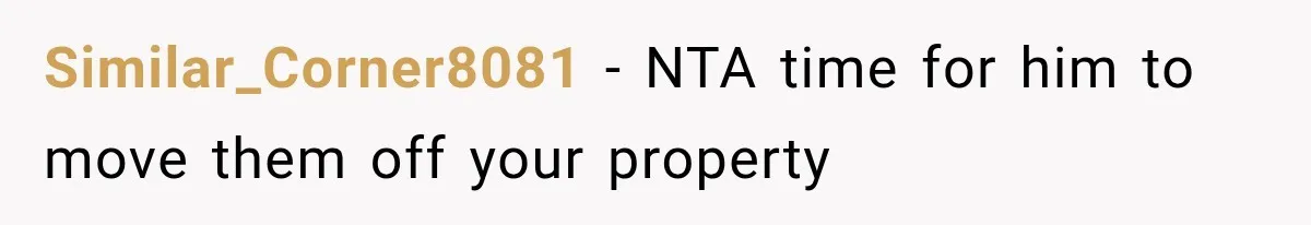 Similar_Corner8081 − NTA time for him to move them off your property