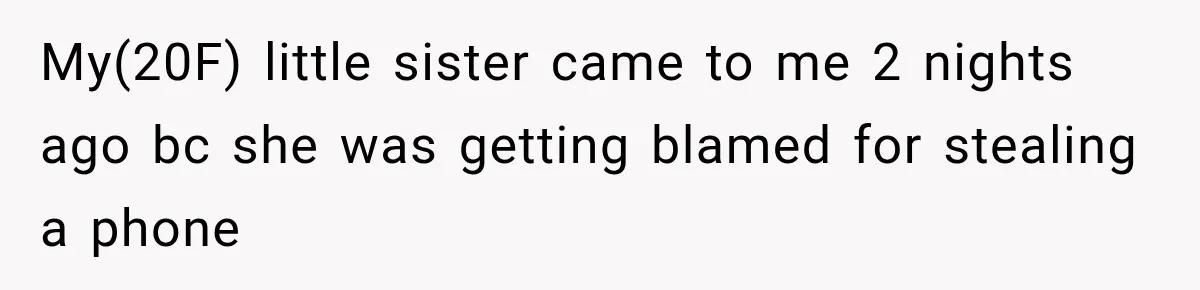 My(20F) little sister came to me 2 nights ago bc she was getting blamed for stealing a phone