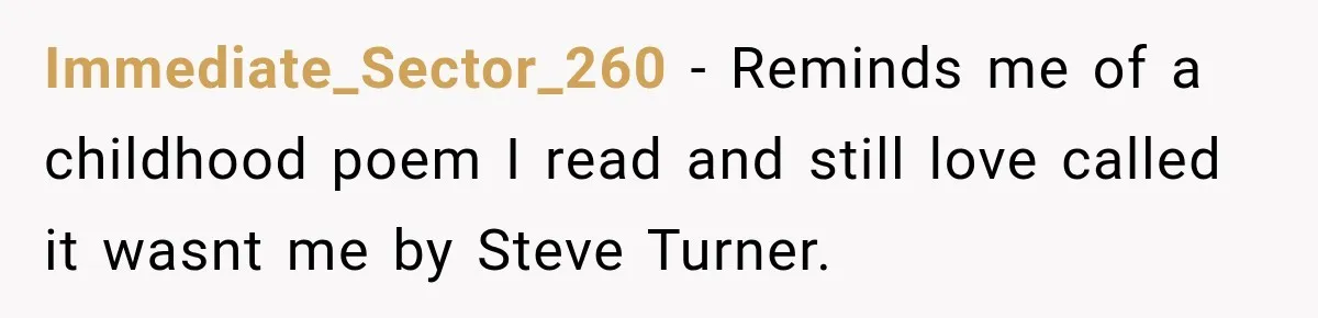 Drunk Guest Says Another Hotel Called The Cops “For No Reason,” Instantly Gets Turned Away Immediate_Sector_260 − Reminds me of a childhood poem I read and still love called it wasnt me by Steve Turner.