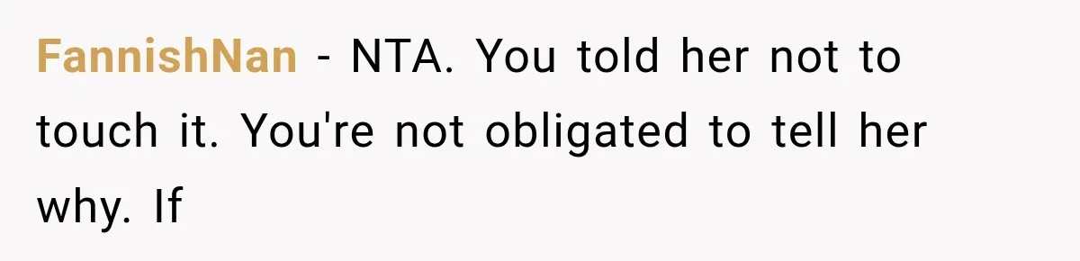 FannishNan − NTA. You told her not to touch it. You're not obligated to tell her why. If