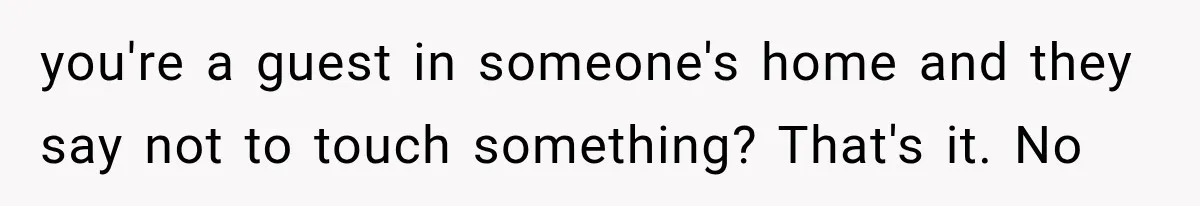 you're a guest in someone's home and they say not to touch something? That's it. No