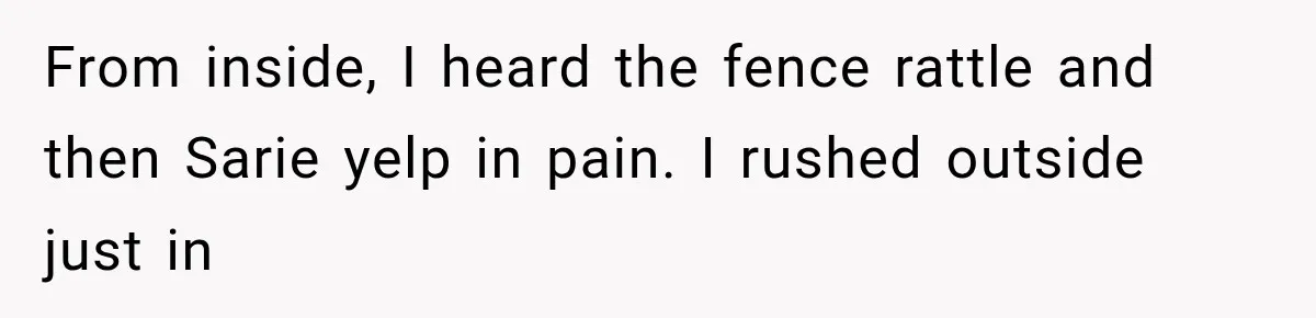 From inside, I heard the fence rattle and then Sarie yelp in pain. I rushed outside just in