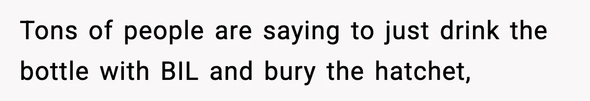 Tons of people are saying to just drink the bottle with BIL and bury the hatchet,