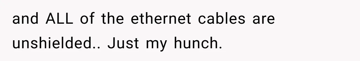 Boss Demanded He Never Miss His Lunch Window, So He Walked Away During a Network Meltdown and ALL of the ethernet cables are unshielded.. Just my hunch.