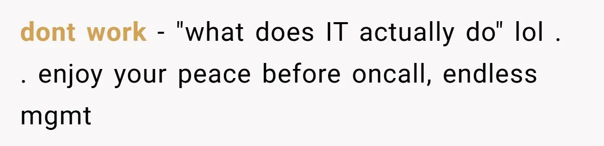 Boss Demanded He Never Miss His Lunch Window, So He Walked Away During a Network Meltdown dont work - "what does IT actually do" lol . . enjoy your peace before oncall, endless mgmt