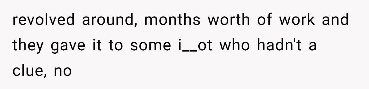 Boss Demanded He Never Miss His Lunch Window, So He Walked Away During a Network Meltdown revolved around, months worth of work and they gave it to some i__ot who hadn't a clue, no