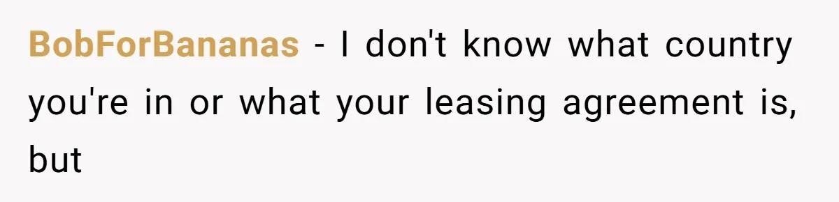 Boss Demanded He Never Miss His Lunch Window, So He Walked Away During a Network Meltdown BobForBananas − I don't know what country you're in or what your leasing agreement is, but