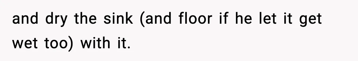 Woman Gets Petty Revenge On Sister’s Boyfriend By Drying His Mess With Her Towel and dry the sink (and floor if he let it get wet too) with it.
