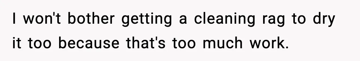 Woman Gets Petty Revenge On Sister’s Boyfriend By Drying His Mess With Her Towel I won't bother getting a cleaning rag to dry it too because that's too much work.