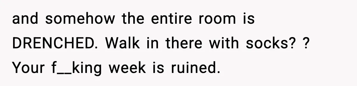 Woman Gets Petty Revenge On Sister’s Boyfriend By Drying His Mess With Her Towel and somehow the entire room is DRENCHED. Walk in there with socks? ? Your f__king week is ruined.