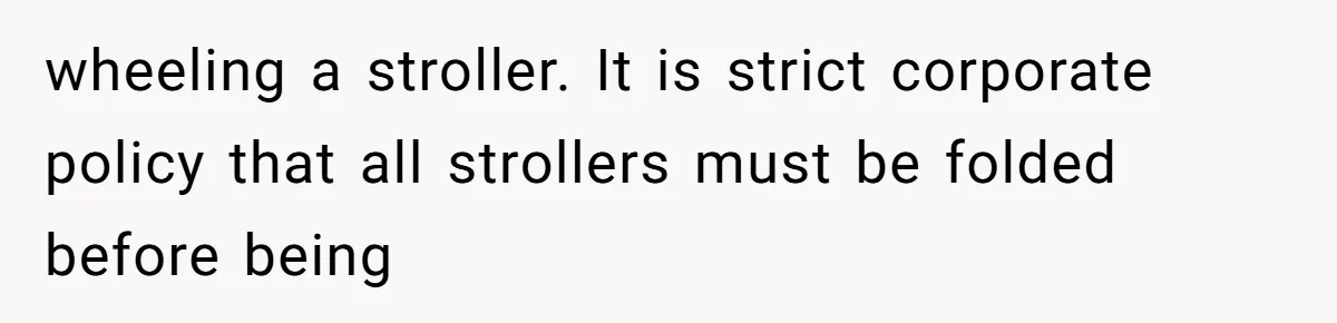 Mother Forces Her Stroller Past a Wheelchair User, Then Breaks a $55,000 Mobility Device wheeling a stroller. It is strict corporate policy that all strollers must be folded before being