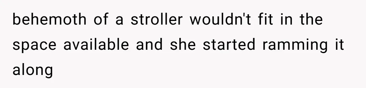 Mother Forces Her Stroller Past a Wheelchair User, Then Breaks a $55,000 Mobility Device behemoth of a stroller wouldn't fit in the space available and she started ramming it along