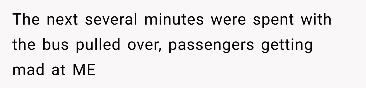 Mother Forces Her Stroller Past a Wheelchair User, Then Breaks a $55,000 Mobility Device The next several minutes were spent with the bus pulled over, passengers getting mad at ME