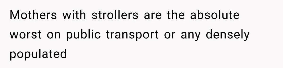 Mother Forces Her Stroller Past a Wheelchair User, Then Breaks a $55,000 Mobility Device Mothers with strollers are the absolute worst on public transport or any densely populated