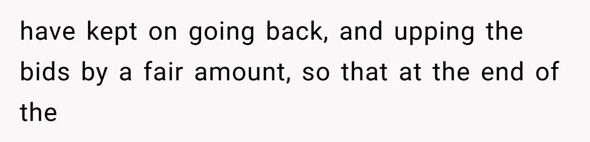 Auction Regular Uses Other People to Win Everything, Until One Bidder Outsmarts Him have kept on going back, and upping the bids by a fair amount, so that at the end of the