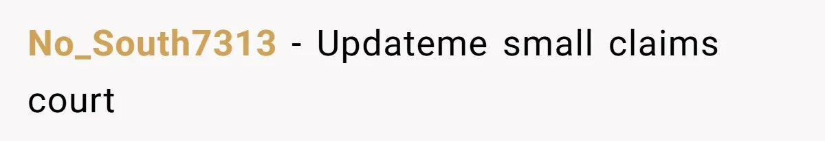 No_South7313 − Updateme small claims court