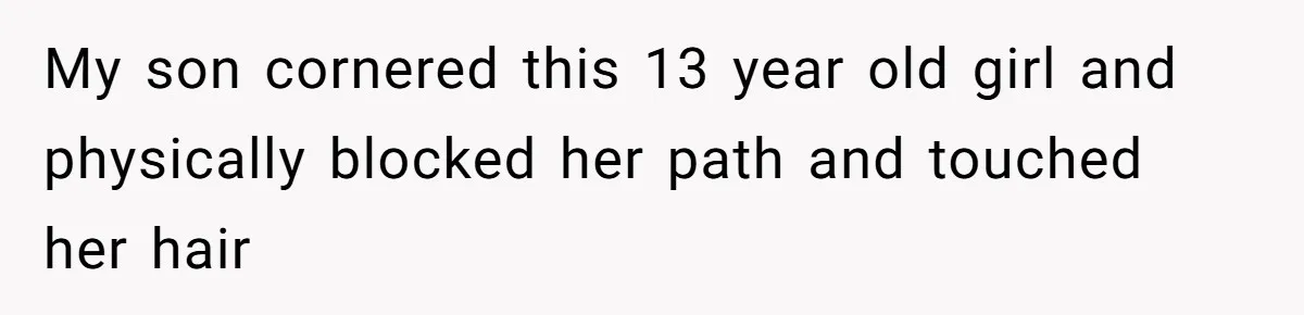My son cornered this 13 year old girl and physically blocked her path and touched her hair