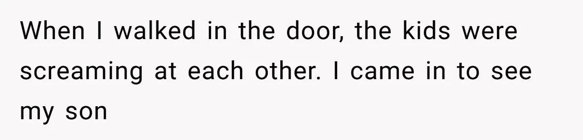 When I walked in the door, the kids were screaming at each other. I came in to see my son