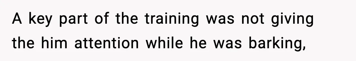Mother-in-Law Keeps Ignoring the Only House Rule, Then Acts Like the Victim When Her Son-in-Law Finally Snaps A key part of the training was not giving the him attention while he was barking,