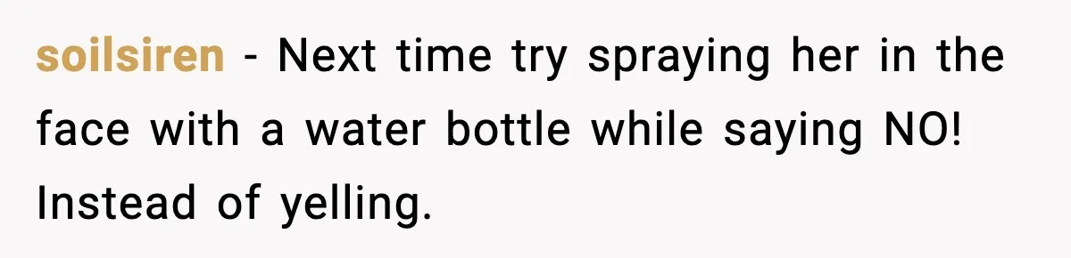 Mother-in-Law Keeps Ignoring the Only House Rule, Then Acts Like the Victim When Her Son-in-Law Finally Snaps soilsiren − Next time try spraying her in the face with a water bottle while saying NO! Instead of yelling.