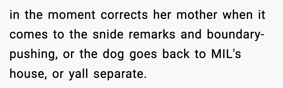 Mother-in-Law Keeps Ignoring the Only House Rule, Then Acts Like the Victim When Her Son-in-Law Finally Snaps in the moment corrects her mother when it comes to the snide remarks and boundary-pushing, or the dog goes back to MIL's house, or yall separate.
