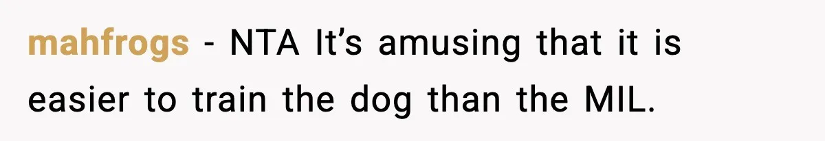Mother-in-Law Keeps Ignoring the Only House Rule, Then Acts Like the Victim When Her Son-in-Law Finally Snaps mahfrogs − NTA It’s amusing that it is easier to train the dog than the MIL.