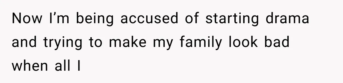 Now I’m being accused of starting drama and trying to make my family look bad when all I