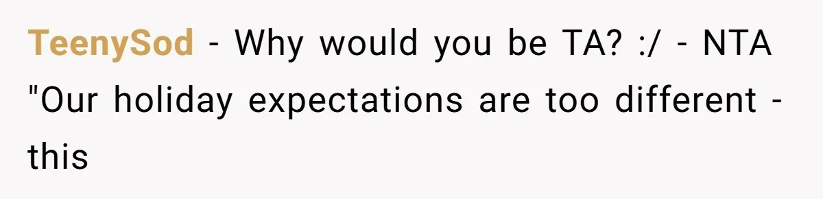 TeenySod − Why would you be TA? :/ - NTA "Our holiday expectations are too different - this