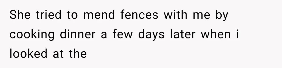 She tried to mend fences with me by cooking dinner a few days later when i looked at the