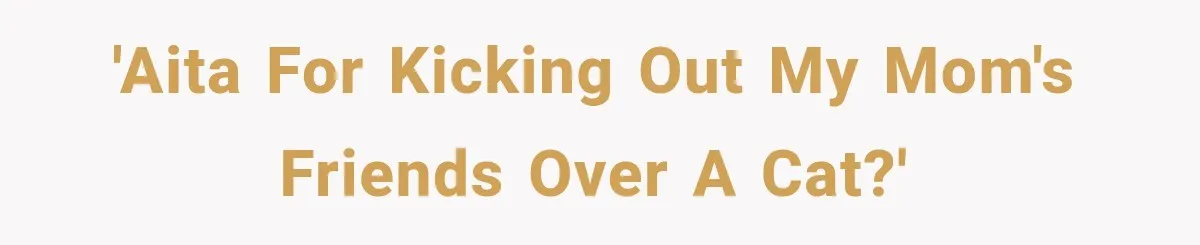 'AITA for kicking out my mom's friends over a cat?'