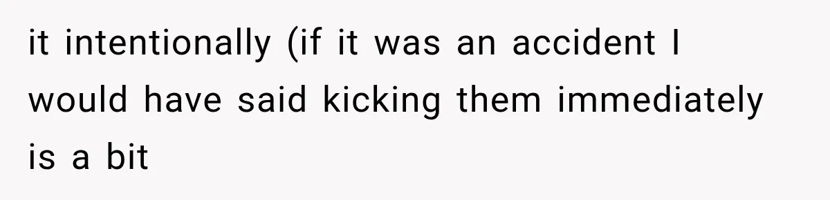 it intentionally (if it was an accident I would have said kicking them immediately is a bit