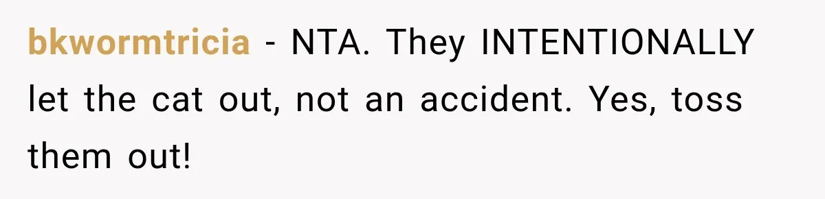 bkwormtricia − NTA. They INTENTIONALLY let the cat out, not an accident. Yes, toss them out!