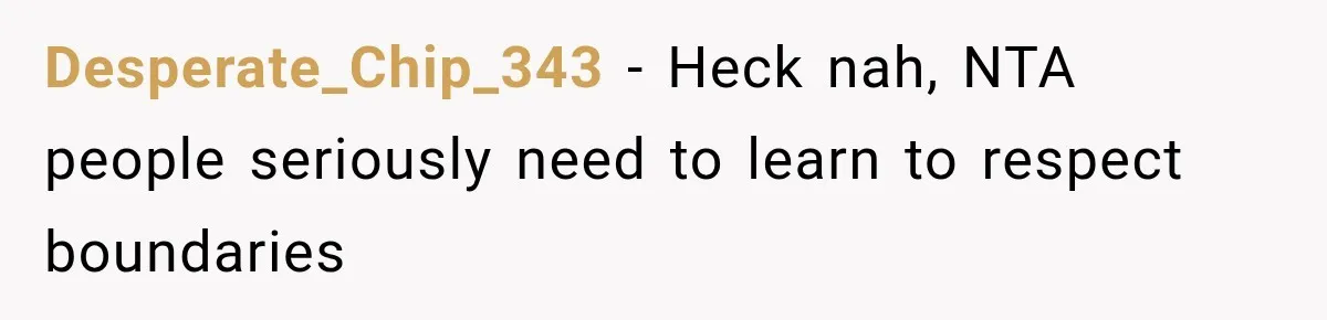 Desperate_Chip_343 − Heck nah, NTA people seriously need to learn to respect boundaries
