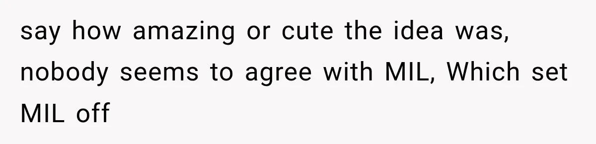 say how amazing or cute the idea was, nobody seems to agree with MIL, Which set MIL off