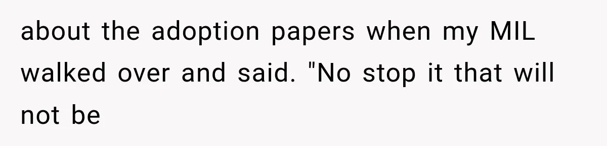 about the adoption papers when my MIL walked over and said. "No stop it that will not be