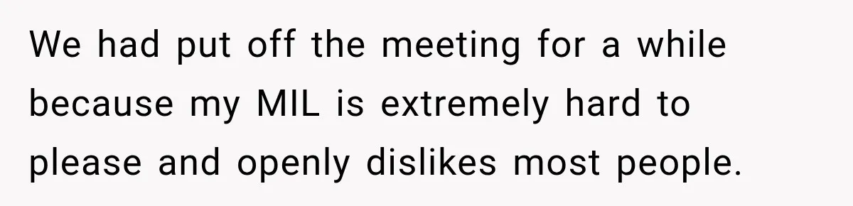 We had put off the meeting for a while because my MIL is extremely hard to please and openly dislikes most people.
