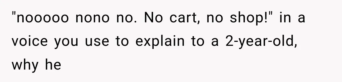 Man Gets Refused Service Without a Cart, So He Brings Two Carts for One Tiny Purchase "nooooo nono no. No cart, no shop!" in a voice you use to explain to a 2-year-old, why he