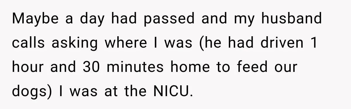Maybe a day had passed and my husband calls asking where I was (he had driven 1 hour and 30 minutes home to feed our dogs) I was at the...