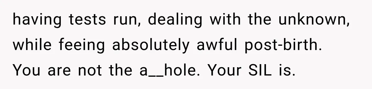having tests run, dealing with the unknown, while feeing absolutely awful post-birth. You are not the a__hole. Your SIL is.