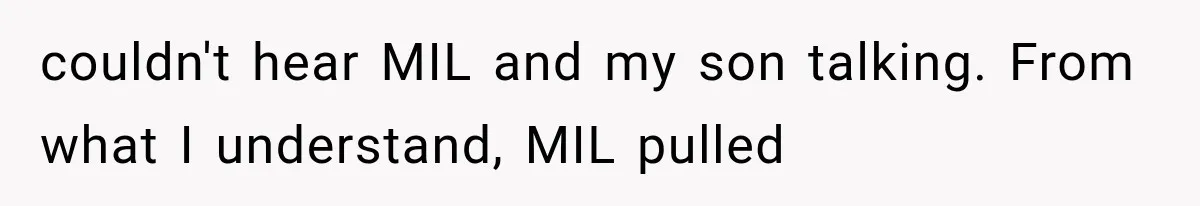 couldn't hear MIL and my son talking. From what I understand, MIL pulled
