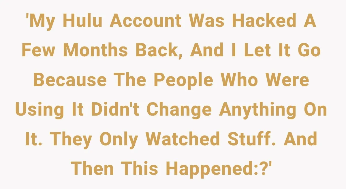 'My Hulu account was hacked a few months back, and I let it go because the people who were using it didn't change anything on it. They only watched stuff....