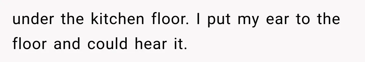 Cleaner Thought He Was Being Annoying, Until His “Small Observations” Saved Thousands in Damage under the kitchen floor. I put my ear to the floor and could hear it.