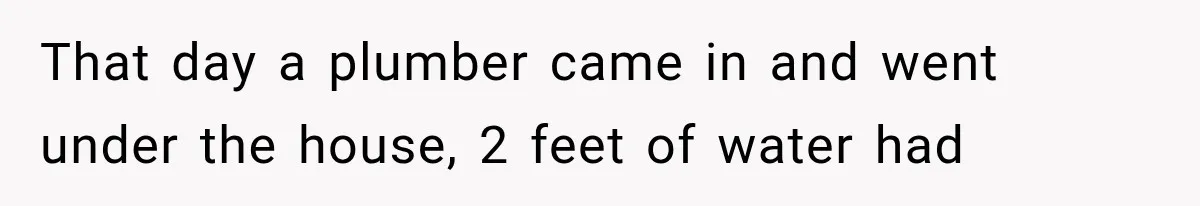 Cleaner Thought He Was Being Annoying, Until His “Small Observations” Saved Thousands in Damage That day a plumber came in and went under the house, 2 feet of water had