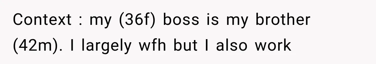 Context : my (36f) boss is my brother (42m). I largely wfh but I also work