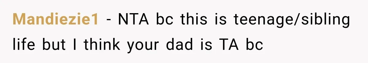 Mandiezie1 − NTA bc this is teenage/sibling life but I think your dad is TA bc