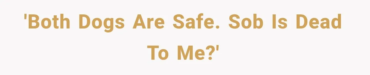 'Both dogs are safe. SOB is dead to me?'