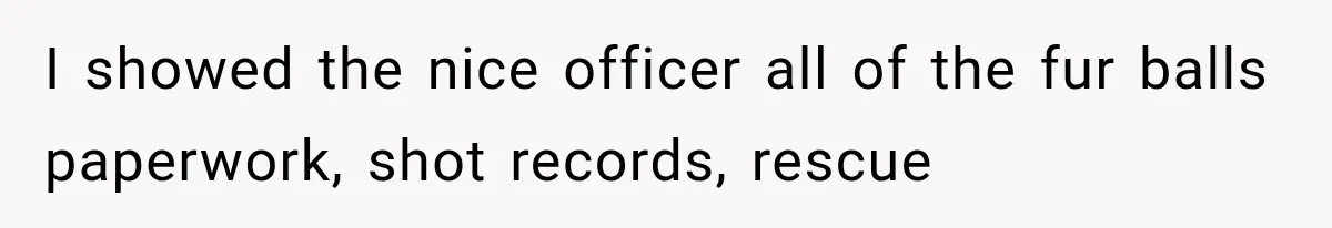 I showed the nice officer all of the fur balls paperwork, shot records, rescue