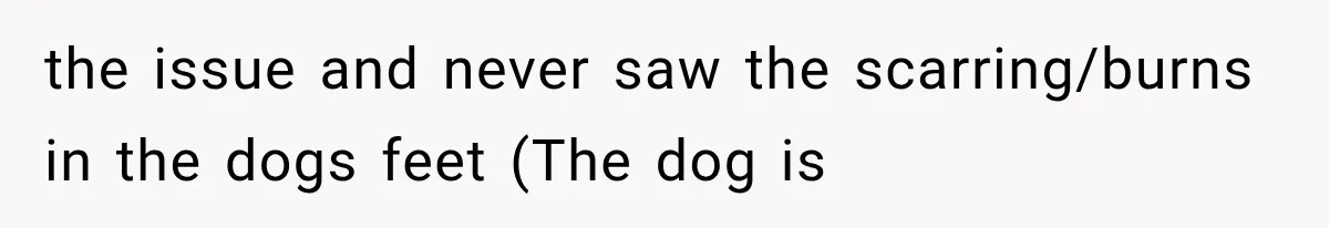 the issue and never saw the scarring/burns in the dogs feet (The dog is