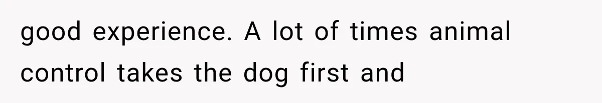 good experience. A lot of times animal control takes the dog first and